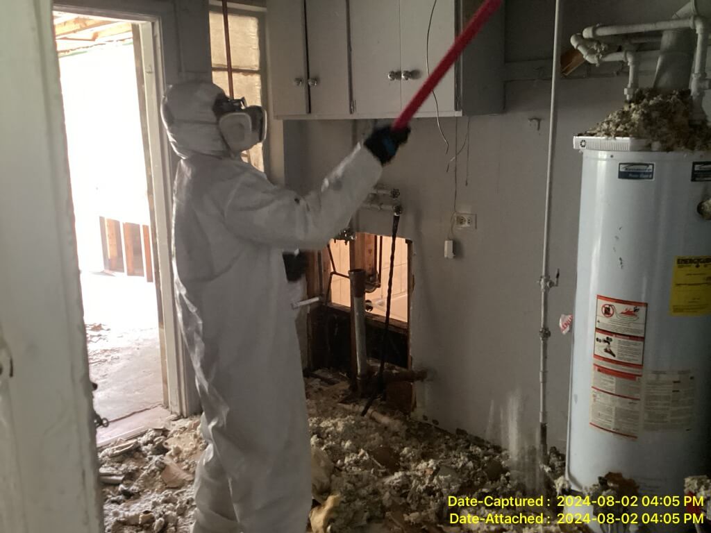 Mold cleaning during mold removal service in Crown Point Indiana