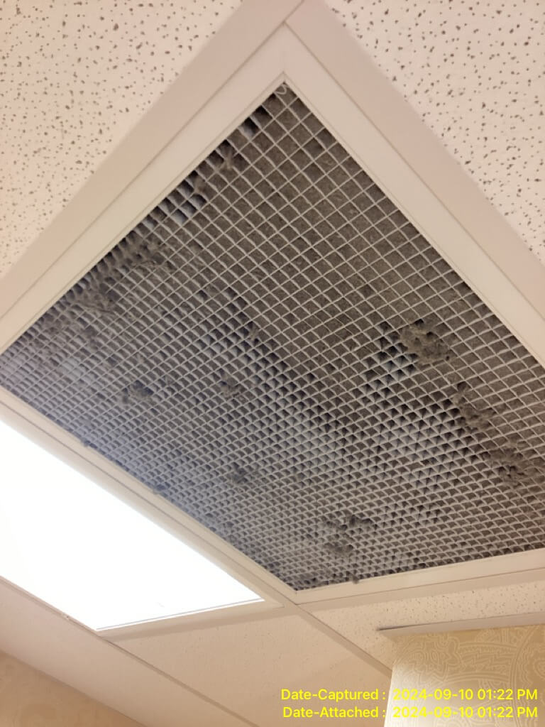 Mold Growing In Air Vents Before Mold Cleaning Service