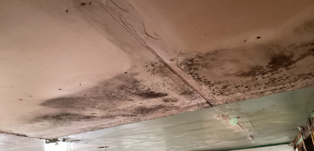 Mold Growing On Crown Point IN Residential Ceiling Before Mold Remediation