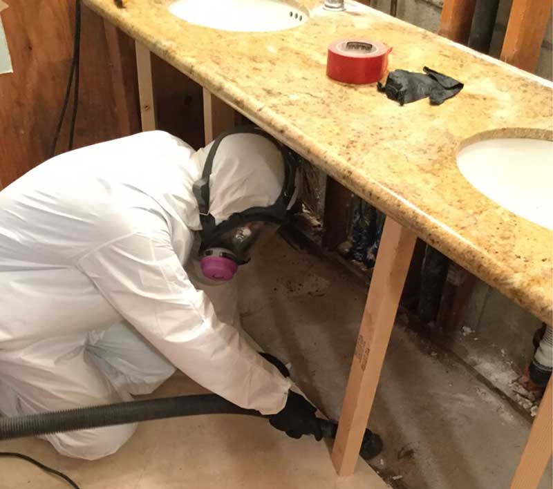 mold remediation